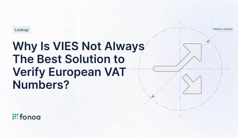 Why Is VIES Not Always The Best Solution to Verify European VAT Numbers?